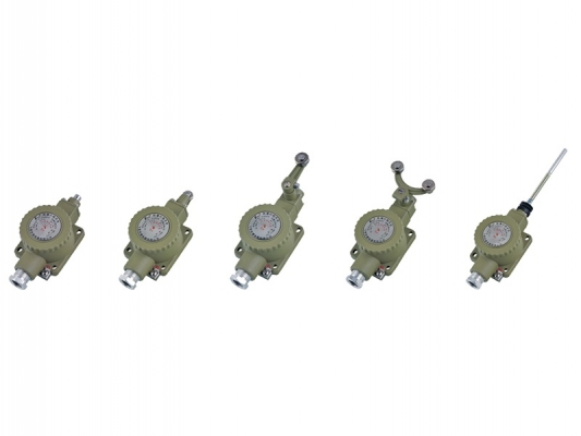 Hot Selling for Explosion Proof Conduit Box – dLXK series Explosion-proof travel switch – Feice