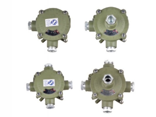 Good Quality Explosion Proof Pipes - AH series Explosion-proof junction box – Feice detail pictures