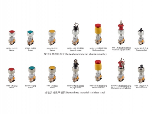 High reputation Waterproof 2 Core Cable Connector - 8098 series Explosion-proof control button – Feice